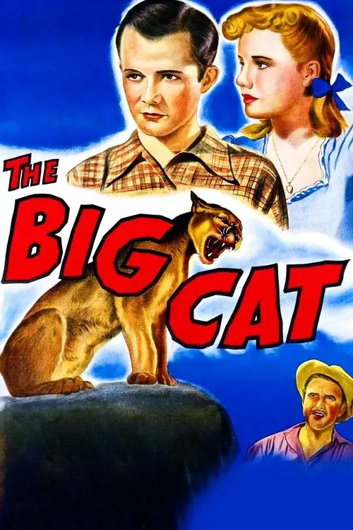 El gran gato