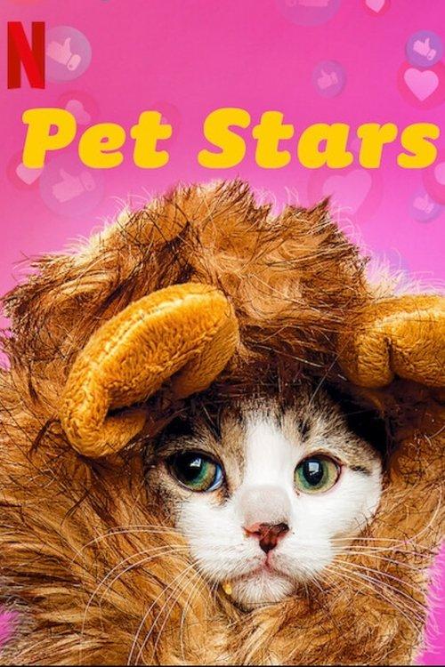 Mascotas estrellas