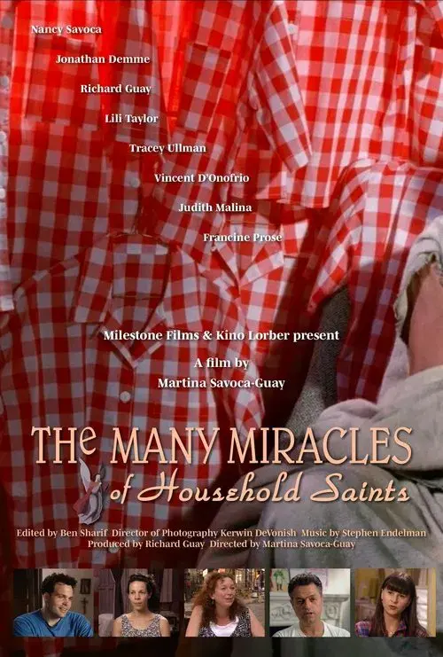 The Many Miracles of Household Saints