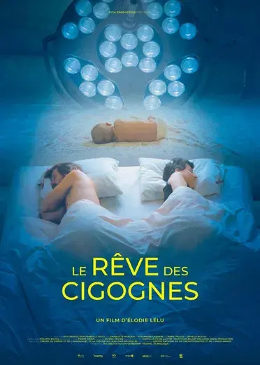 Le rêve des cigognes